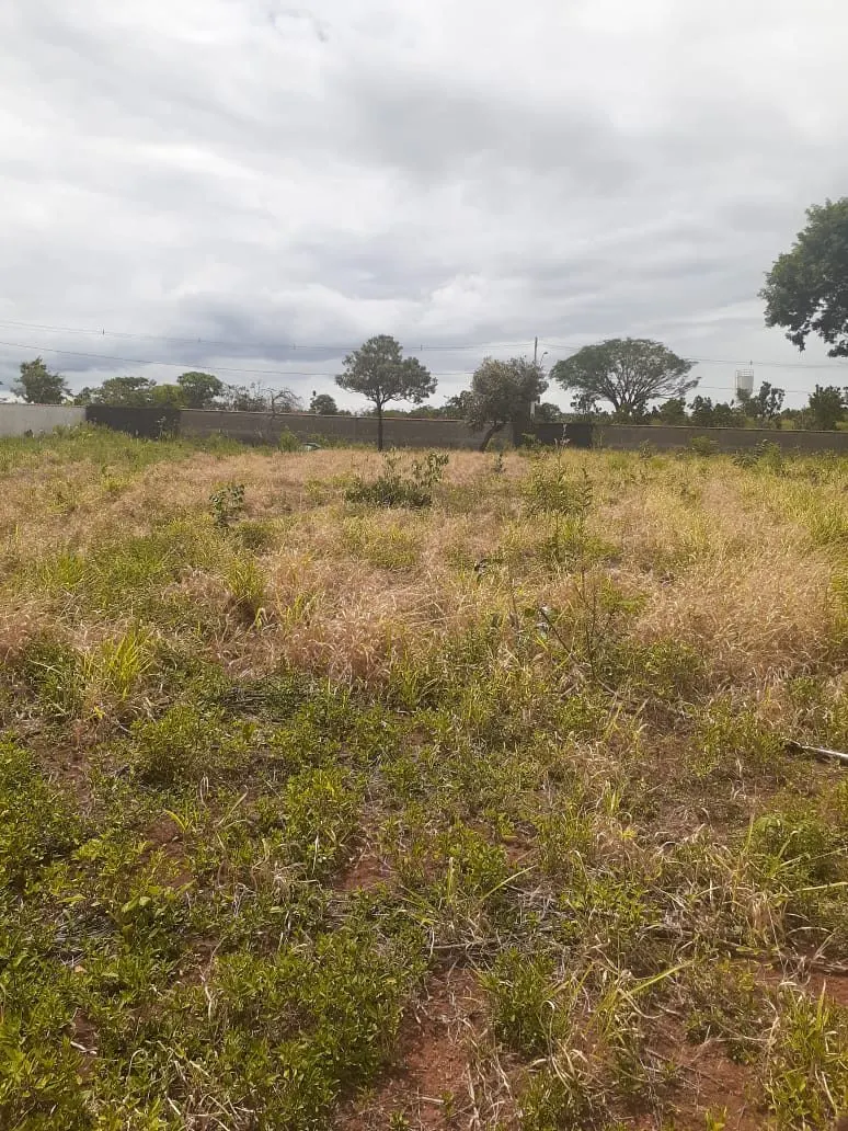 Terreno de Rancho Em Rifaina — foto 7