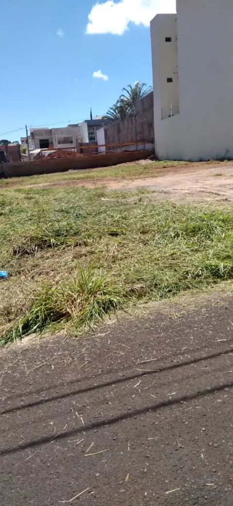 Terreno - Amazonas - Q22 L7 - foto 4